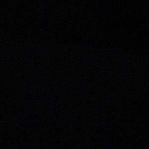 Meet your Posher, Jodie